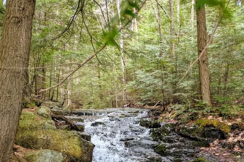 Mount Ascutney State Park