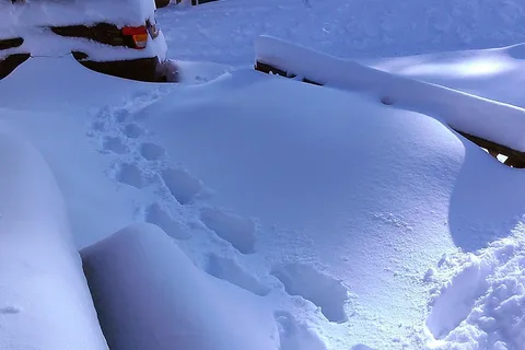 Pocono Vacation Park