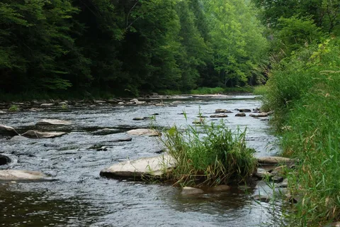 Slumber Valley Campground