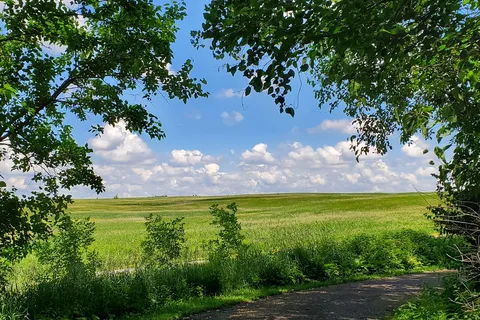 Elinor Bedell State Park