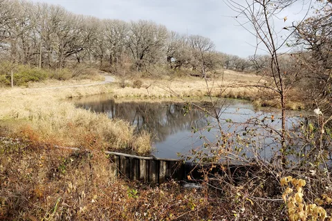 Elinor Bedell State Park