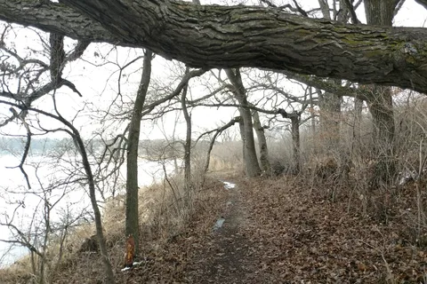 Elinor Bedell State Park