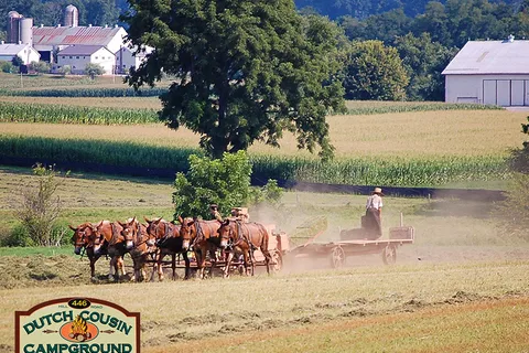 Dutch Cousin Campground