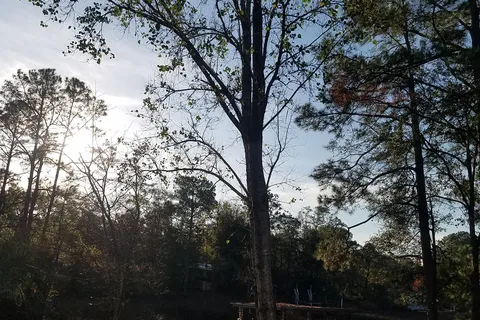 Deerhaven RV Park