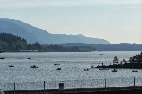 Wind Mountain RV Park and Lodge