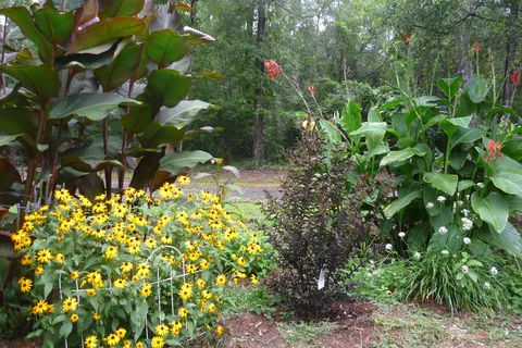 Kountry Air RV Park