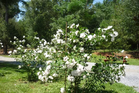 Kountry Air RV Park
