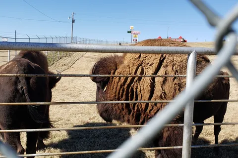 El Reno West KOA Journey