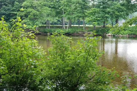 Pemi River Campground