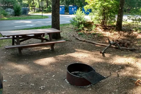Massasoit State Park