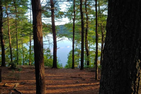 Massasoit State Park