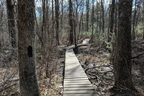 Massasoit State Park
