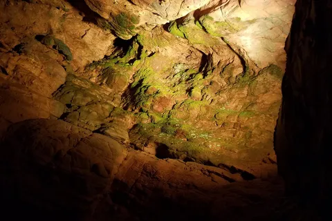 Dixie Caverns Campground