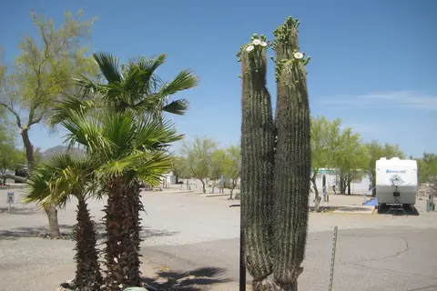 The Scenic Road RV Park