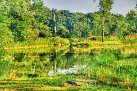 Camp Lord Willing Management RV Park and Campground