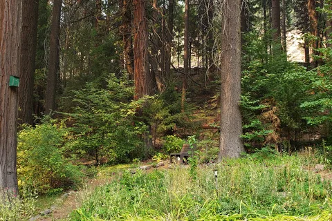 Lake Siskiyou Camp Resort