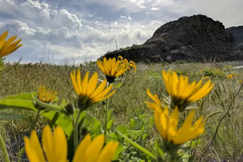 Coulee Lodge Resort