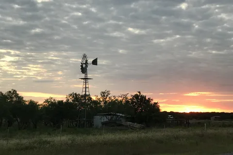 Cactus Rose RV Park