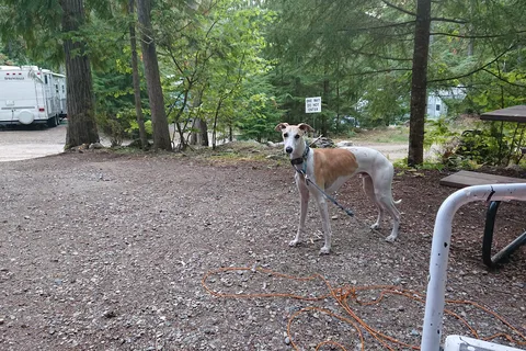 Cedar Grove Campground
