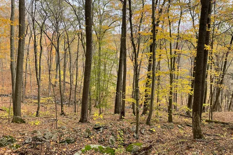 Macedonia Brook State Park