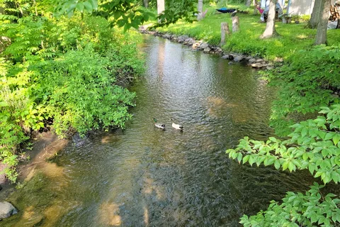 Duke Creek Campgrounds