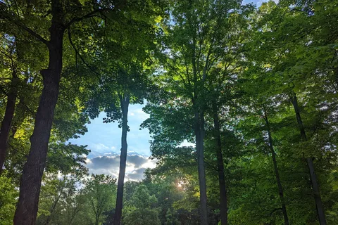 Duke Creek Campgrounds