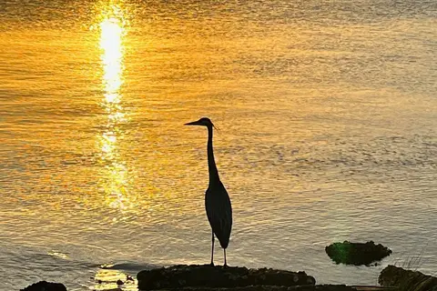 Live Oak Point RV Resort