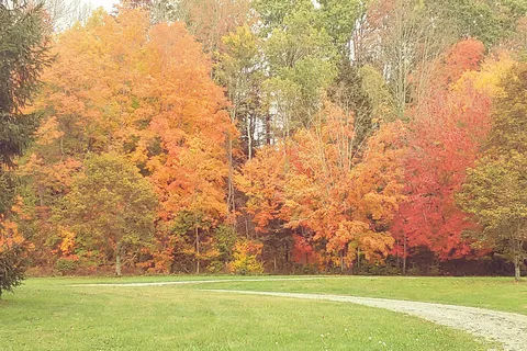 Smileys Provincial Park and Campground
