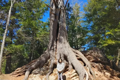 Smileys Provincial Park and Campground