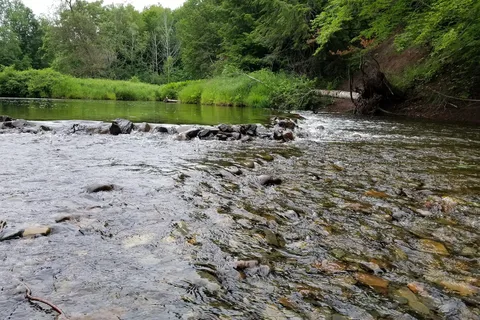 Smileys Provincial Park and Campground