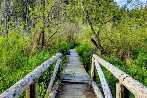 Millersylvania State Park