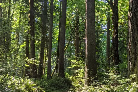 Millersylvania State Park