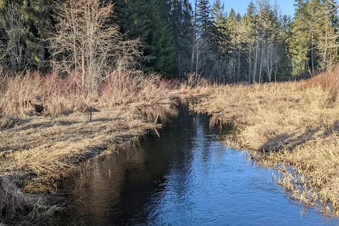 Millersylvania State Park
