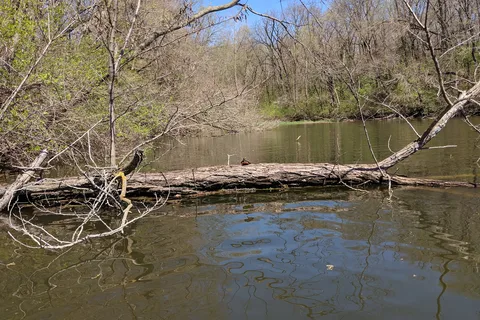 Nauvoo State Park
