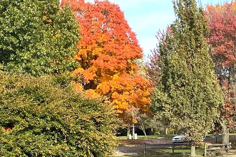 Nauvoo State Park