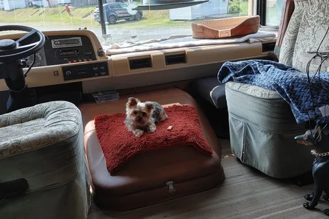Camping La Detente