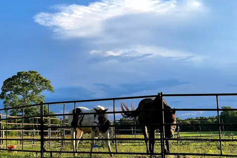 Zenith Stables and Campground