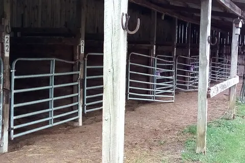 Zenith Stables and Campground