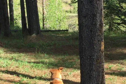 Elk River Provincial Recreational Area