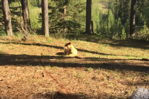 Elk River Provincial Recreational Area