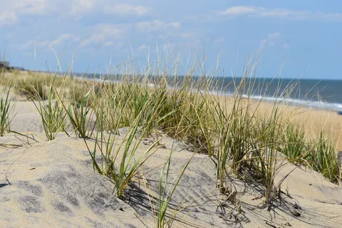 Kitty Hawk RV Park