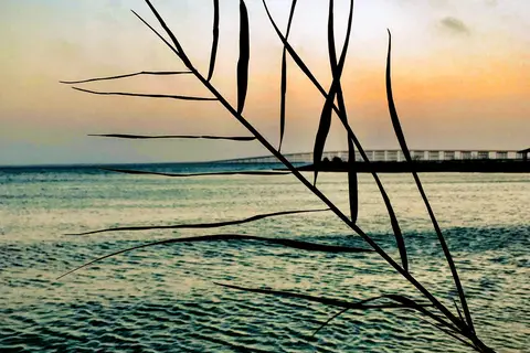 Bahia Vista Waterfront RV Park