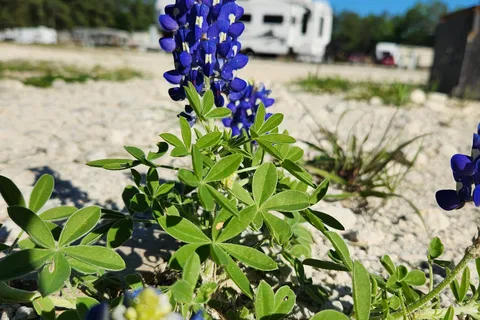 Texas Gold RV Ranch