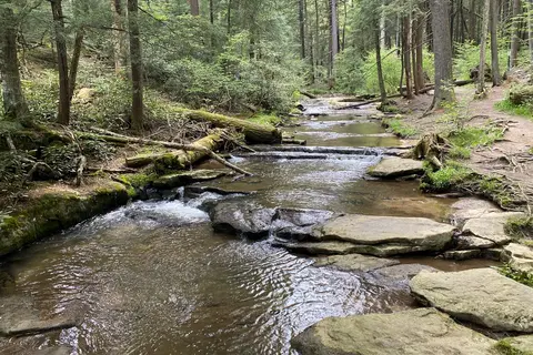 Swallow Falls State Park