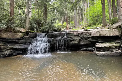 Swallow Falls State Park