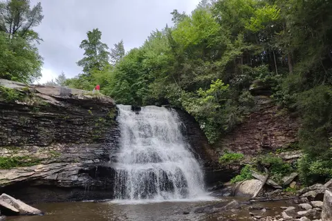 Swallow Falls State Park