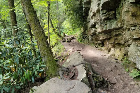 Swallow Falls State Park