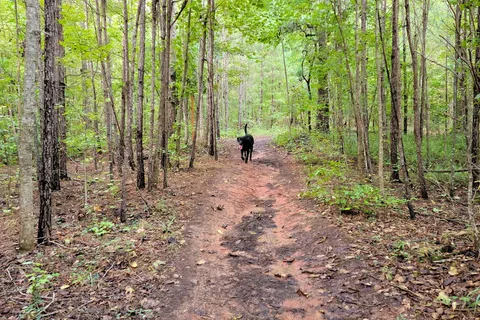 Chewacla State Park