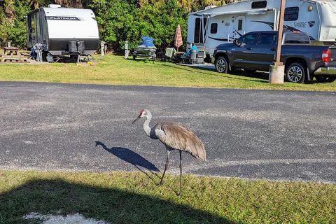 Sonrise Palms RV Park