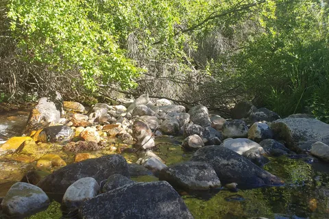 Baker Creek Campground - Great Basin National Park